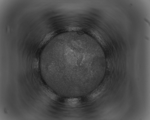 X0000092330357200710051319