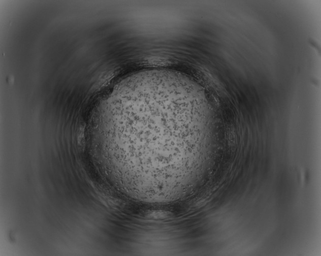 X0000092330360200710051319