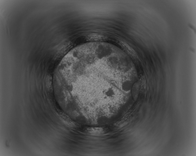 X0000092330361200710051319