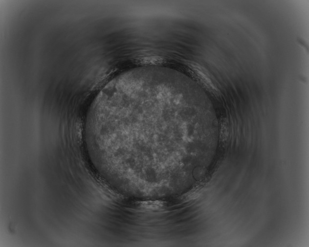 X0000092330363200710051319