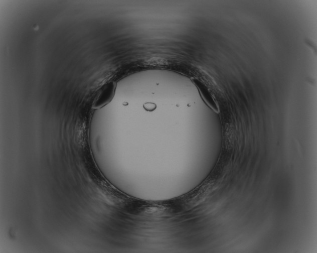 X0000092330364200710051319