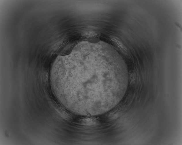 X0000092330365200710051319