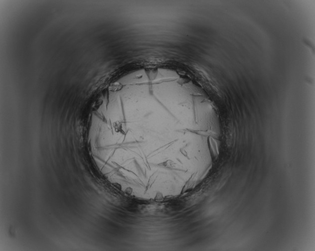 X0000092330366200710051319