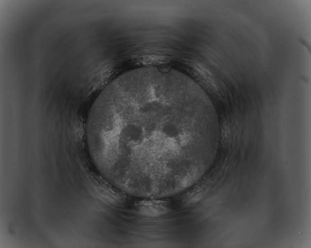X0000092330367200710051319