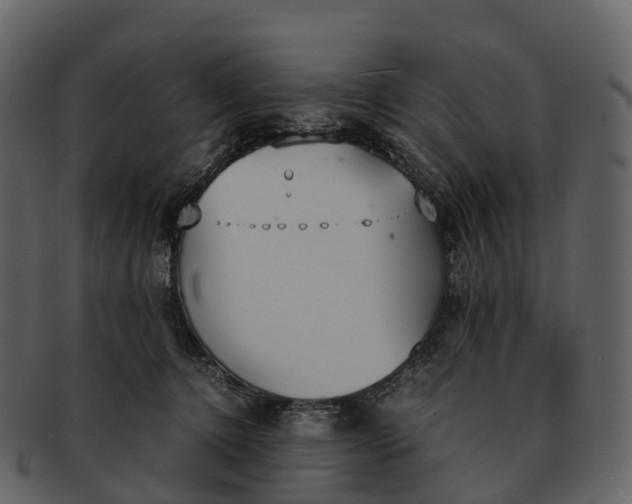 X0000092330368200710051319