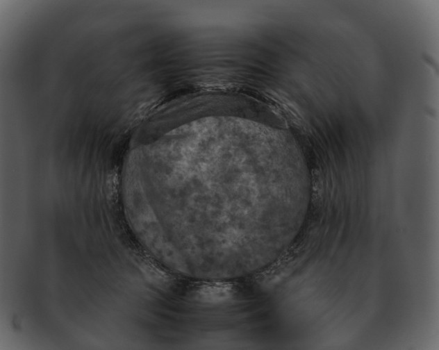 X0000092330369200710051319