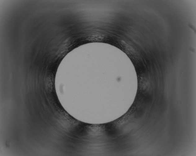 X0000092330370200710051319