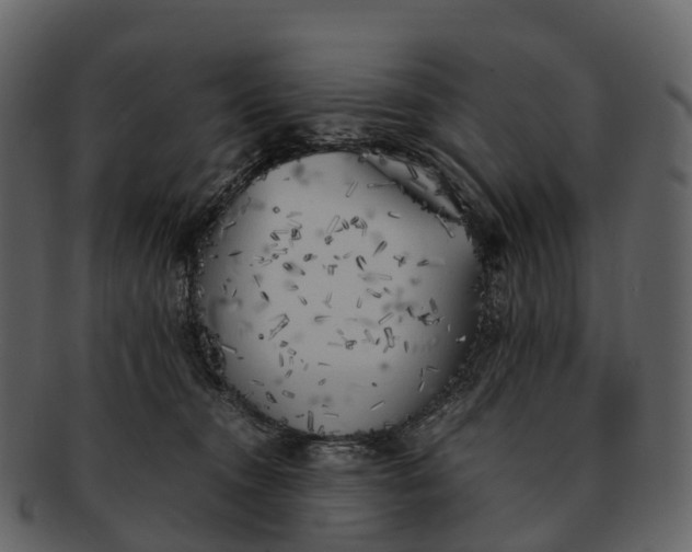 X0000092330372200710051319