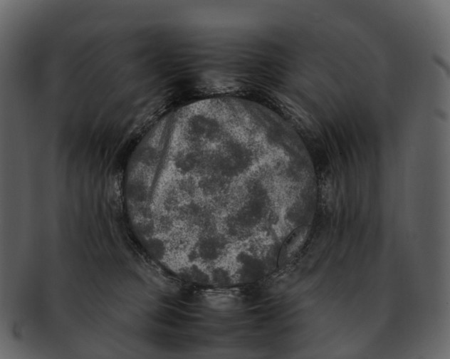 X0000092330373200710051319