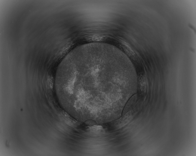 X0000092330374200710051319