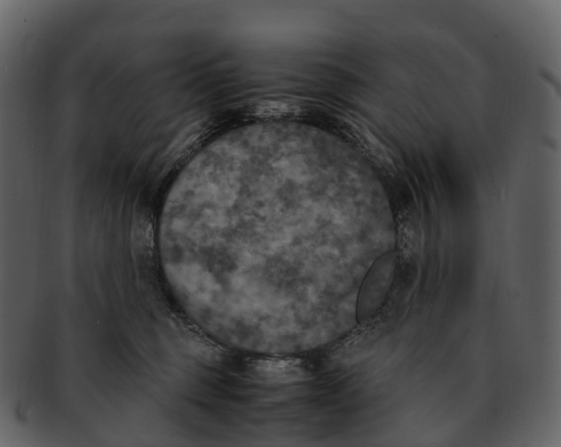 X0000092330375200710051319