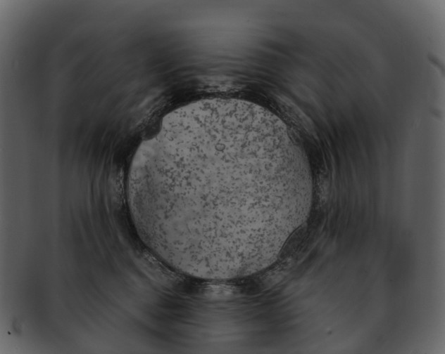 X0000092330376200710051319