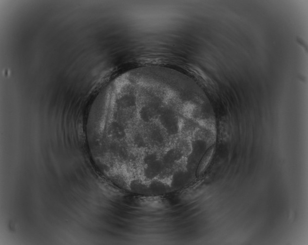 X0000092330377200710051319