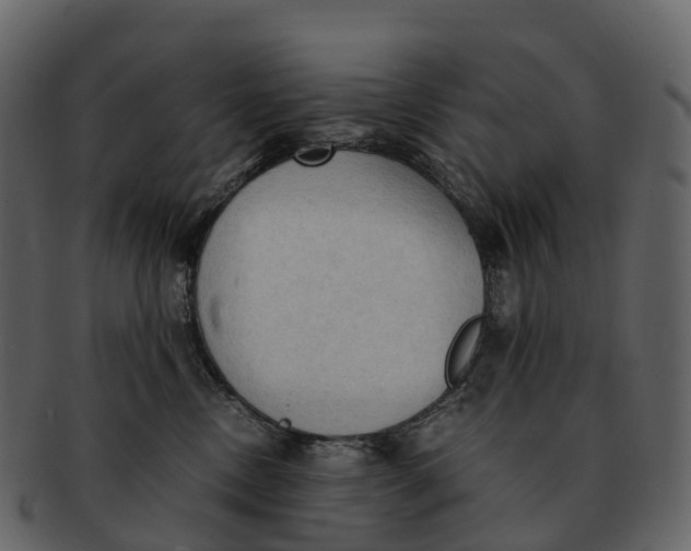 X0000092330378200710051319