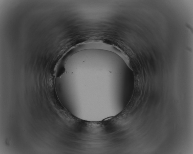 X0000092330380200710051319