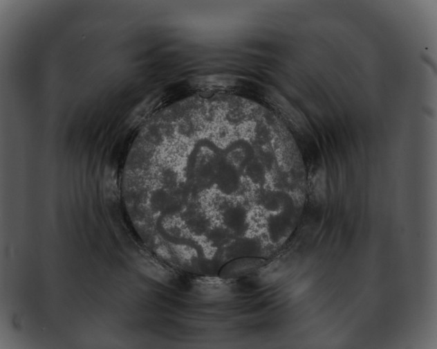X0000092330381200710051319