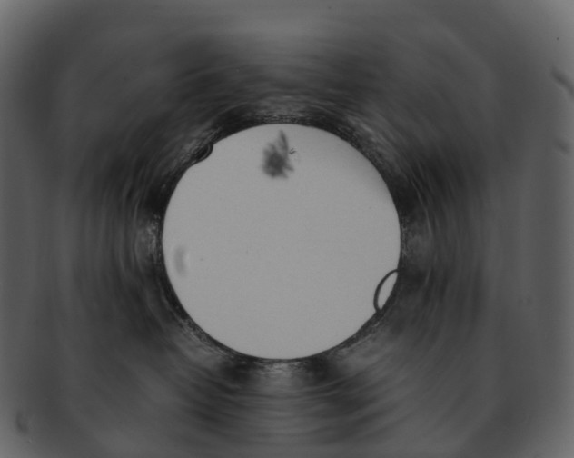 X0000092330382200710051319