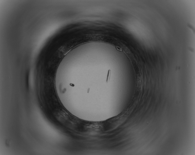 X0000092330383200710051319