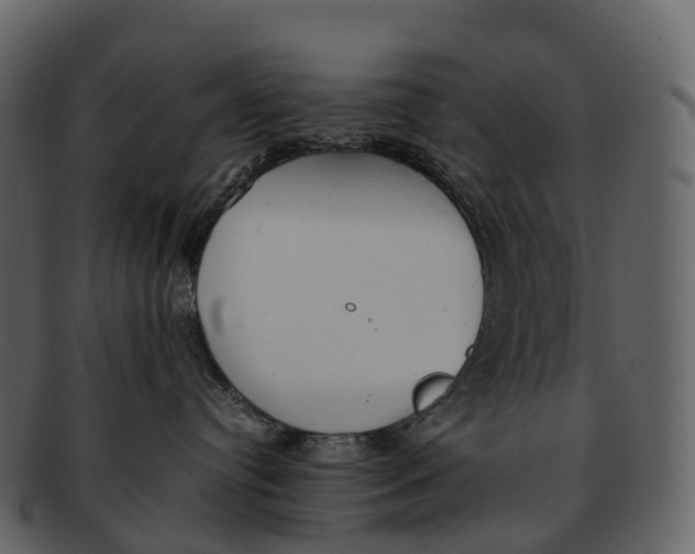 X0000092330384200710051319