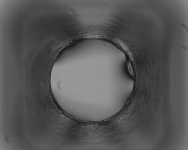 X0000092330385200710051319