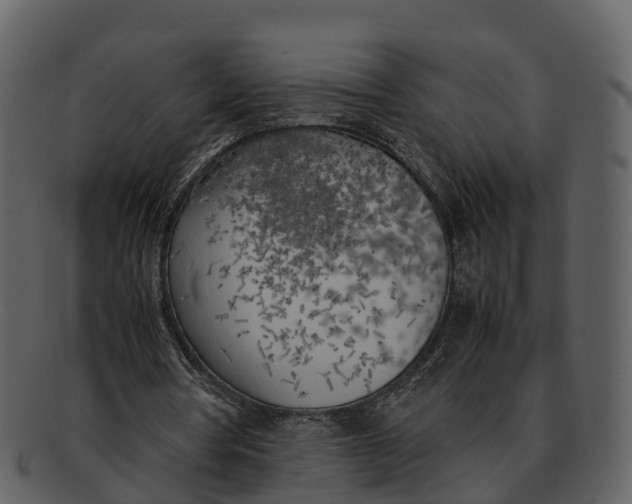 X0000092330386200710051319