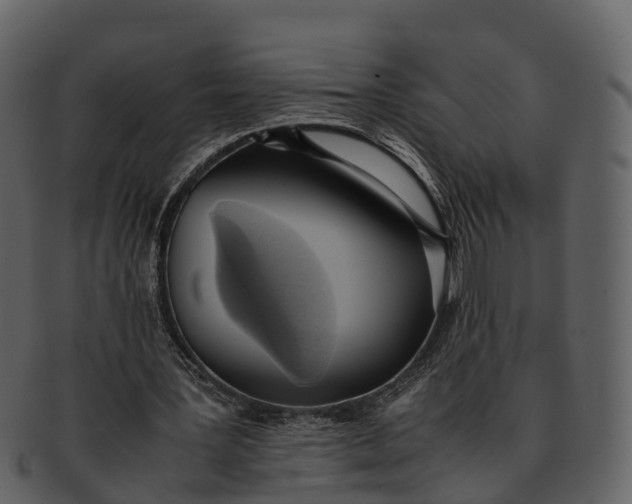 X0000092330387200710051319