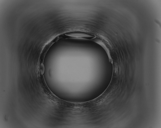 X0000092330388200710051319