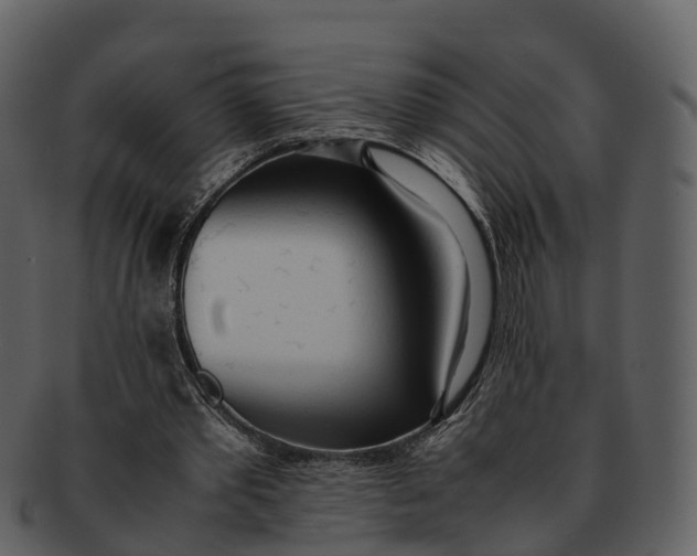 X0000092330389200710051319