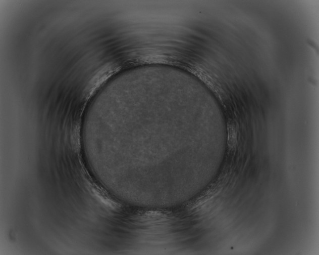 X0000092330390200710051319