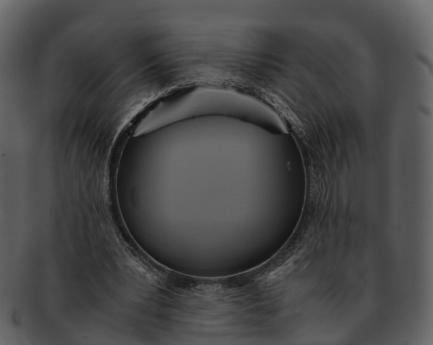 X0000092330391200710051319