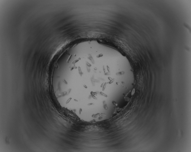 X0000092330392200710051318