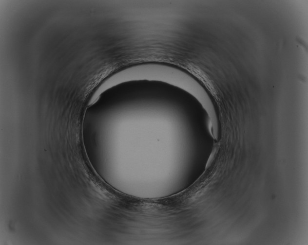 X0000092330393200710051318