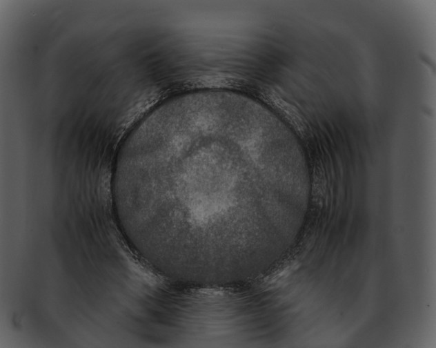 X0000092330394200710051318