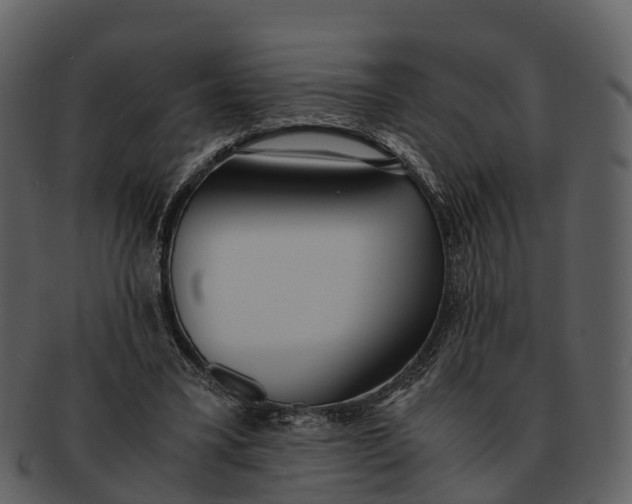 X0000092330395200710051318