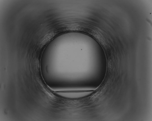 X0000092330397200710051318