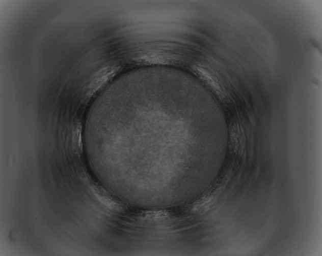 X0000092330398200710051318