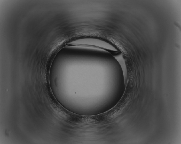 X0000092330399200710051318