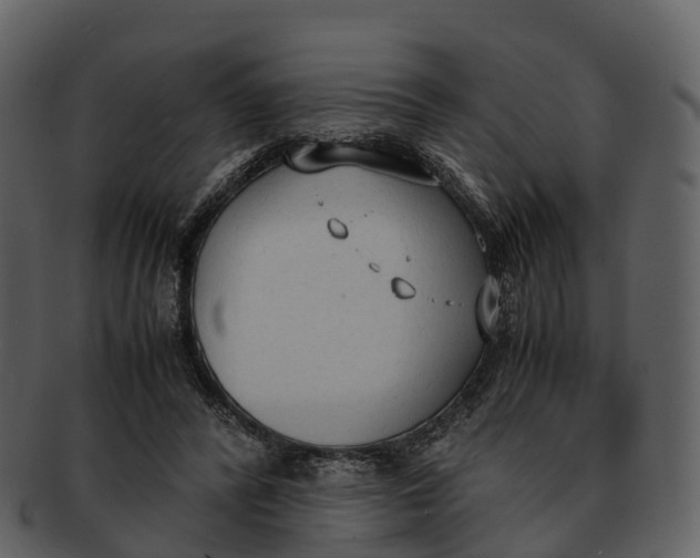 X0000092330400200710051318