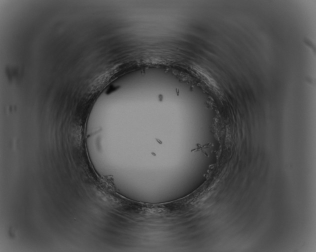 X0000092330401200710051318