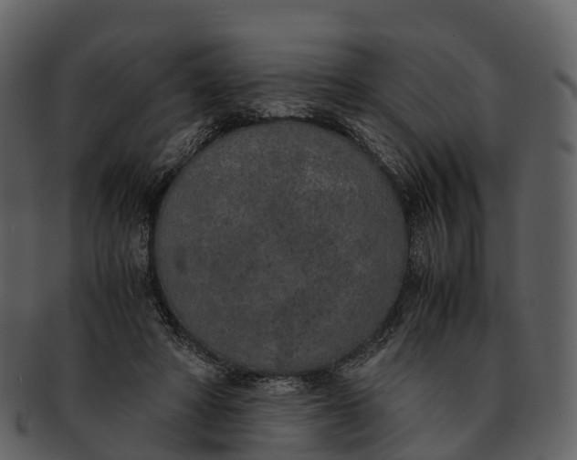 X0000092330402200710051318