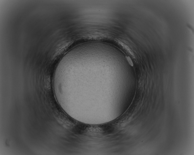 X0000092330403200710051318