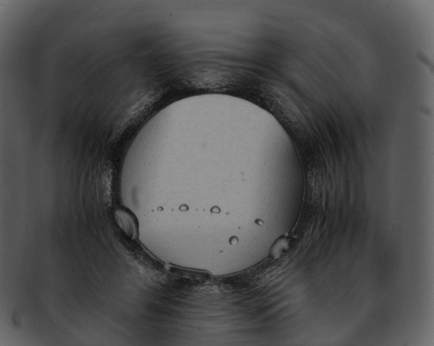 X0000092330404200710051318