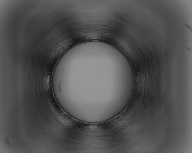 X0000092330406200710051318