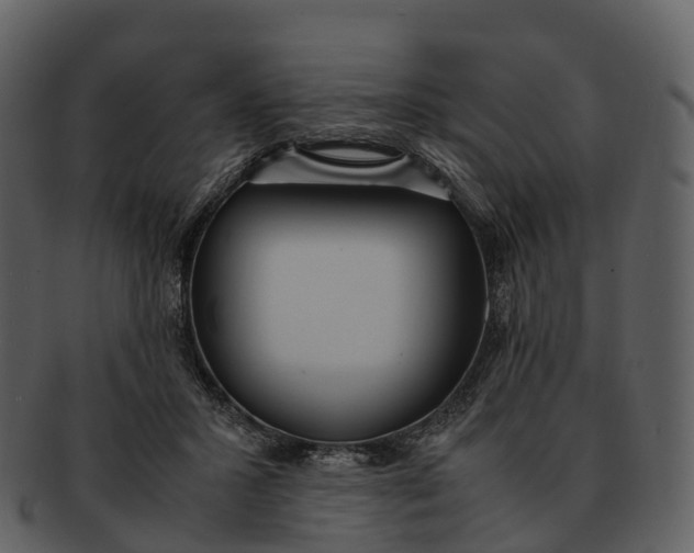 X0000092330407200710051318