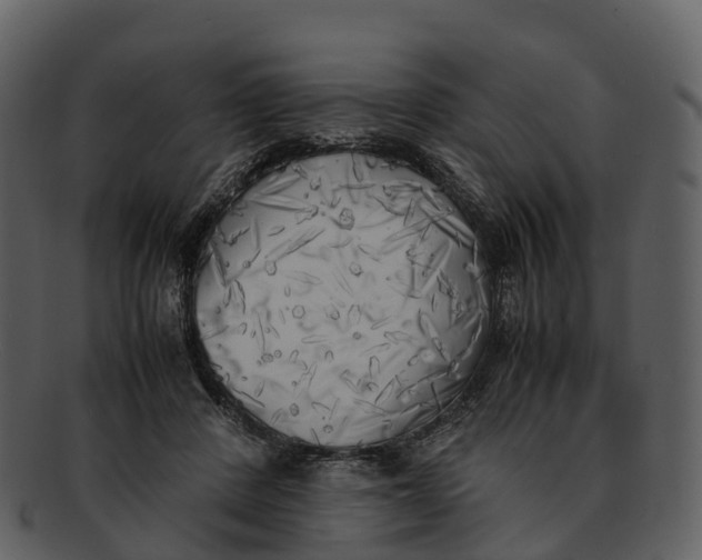 X0000092330408200710051318