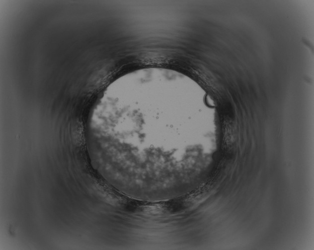 X0000092330411200710051318
