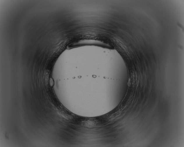 X0000092330412200710051318