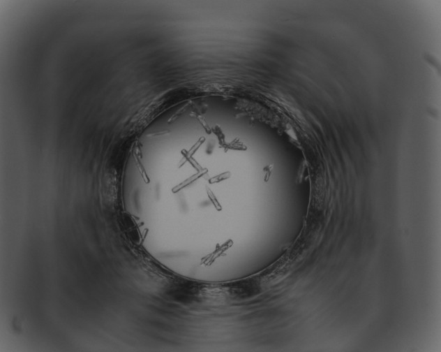 X0000092330413200710051318