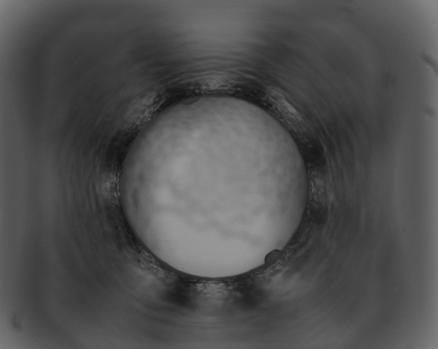 X0000092330419200710051318