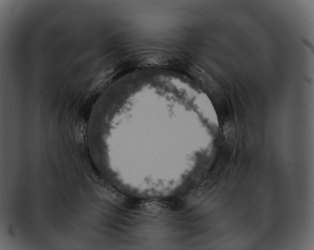 X0000092330423200710051318